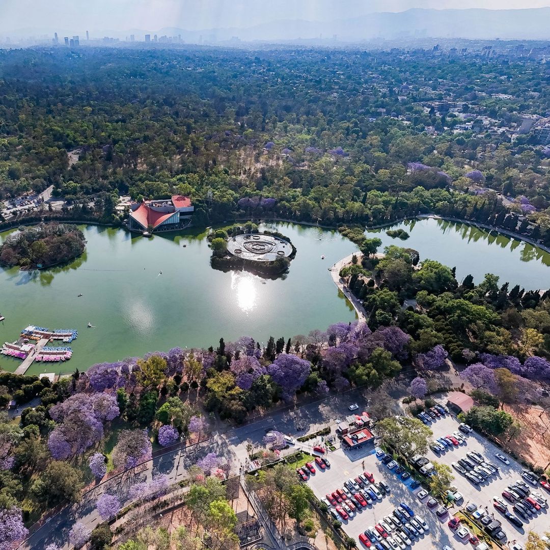 Defensa Descarta Construir Museo Militar en Terreno Aledaño al Bosque de Chapultepec